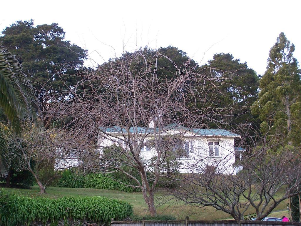 Kauri Nest Panzió Whangarei Kültér fotó