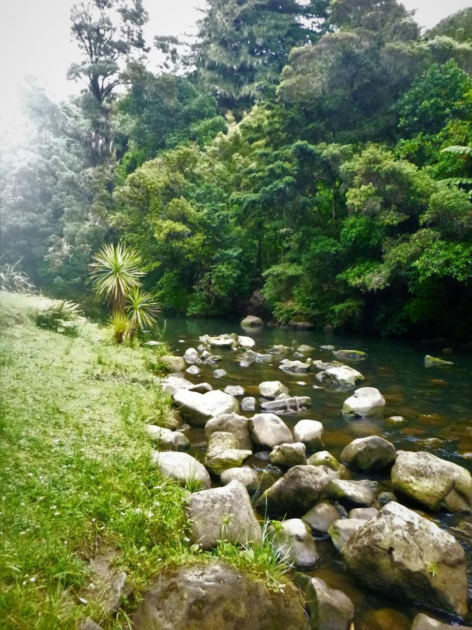 Kauri Nest Panzió Whangarei Kültér fotó