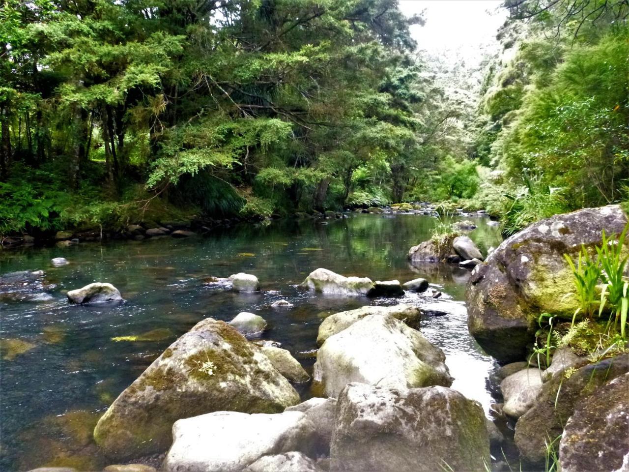 Kauri Nest Panzió Whangarei Kültér fotó
