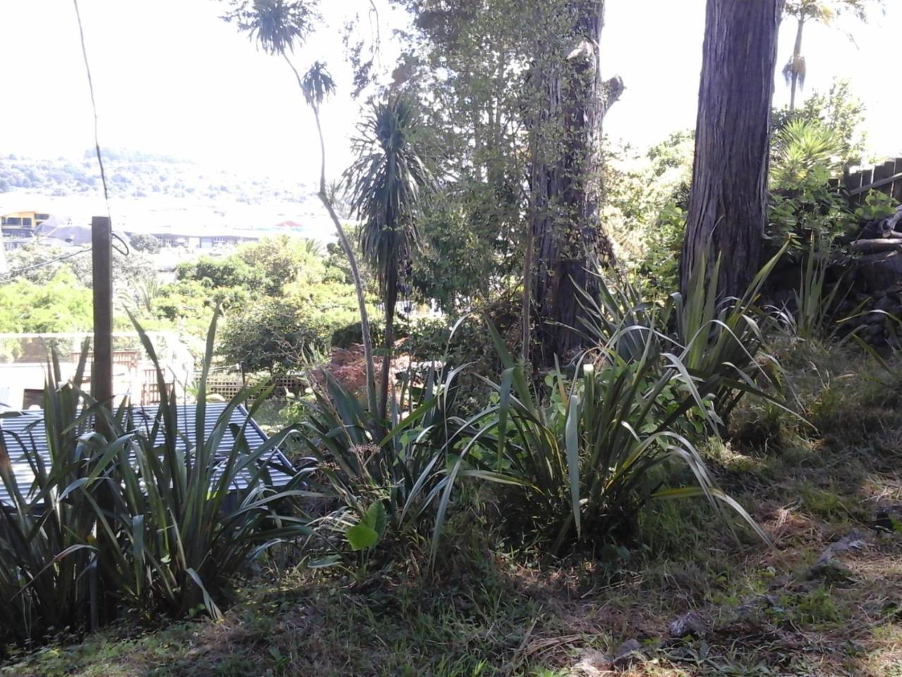 Kauri Nest Panzió Whangarei Kültér fotó