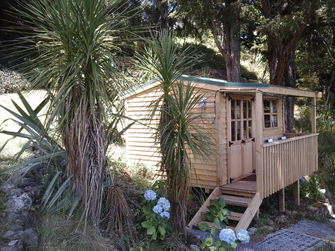 Kauri Nest Panzió Whangarei Kültér fotó