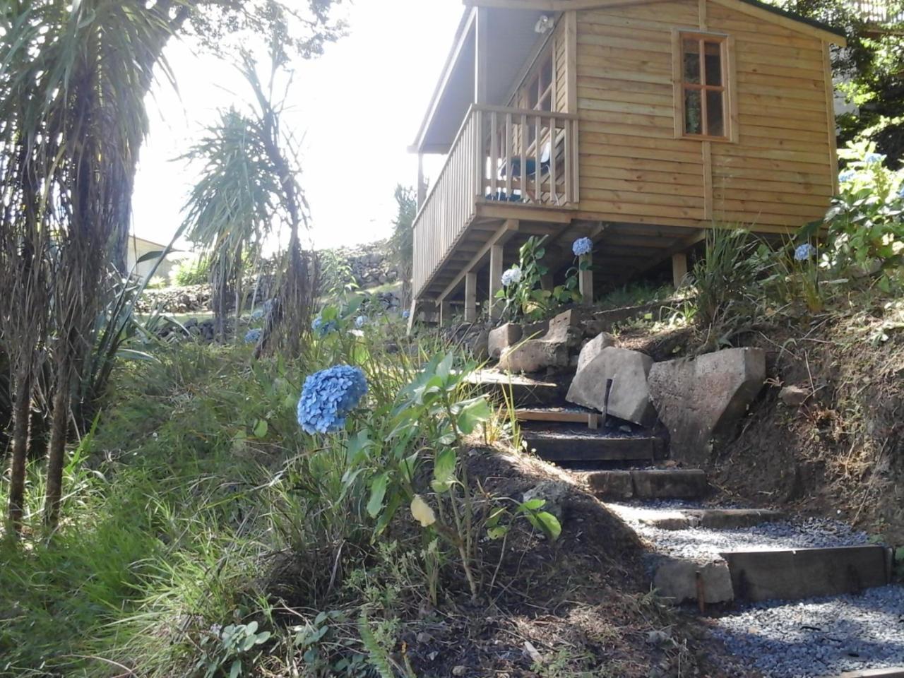 Kauri Nest Panzió Whangarei Kültér fotó