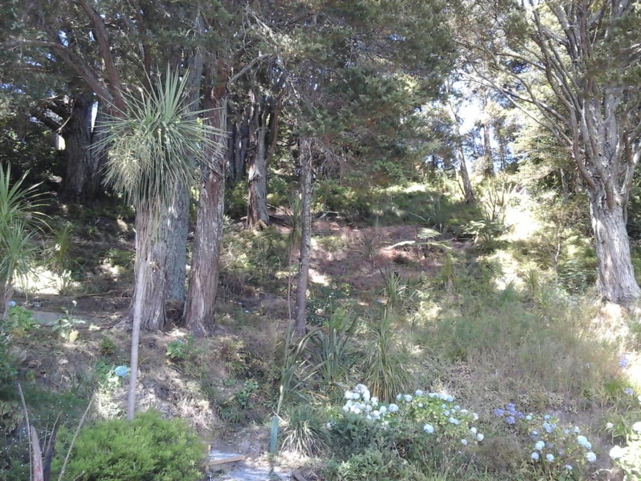 Kauri Nest Panzió Whangarei Kültér fotó