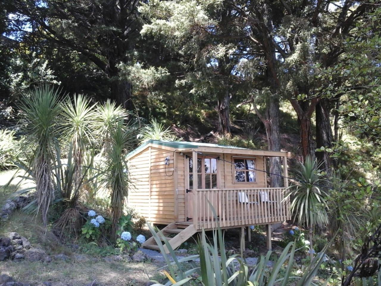 Kauri Nest Panzió Whangarei Kültér fotó