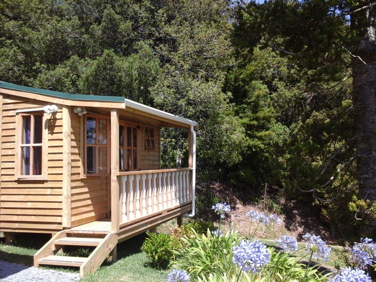 Kauri Nest Panzió Whangarei Kültér fotó
